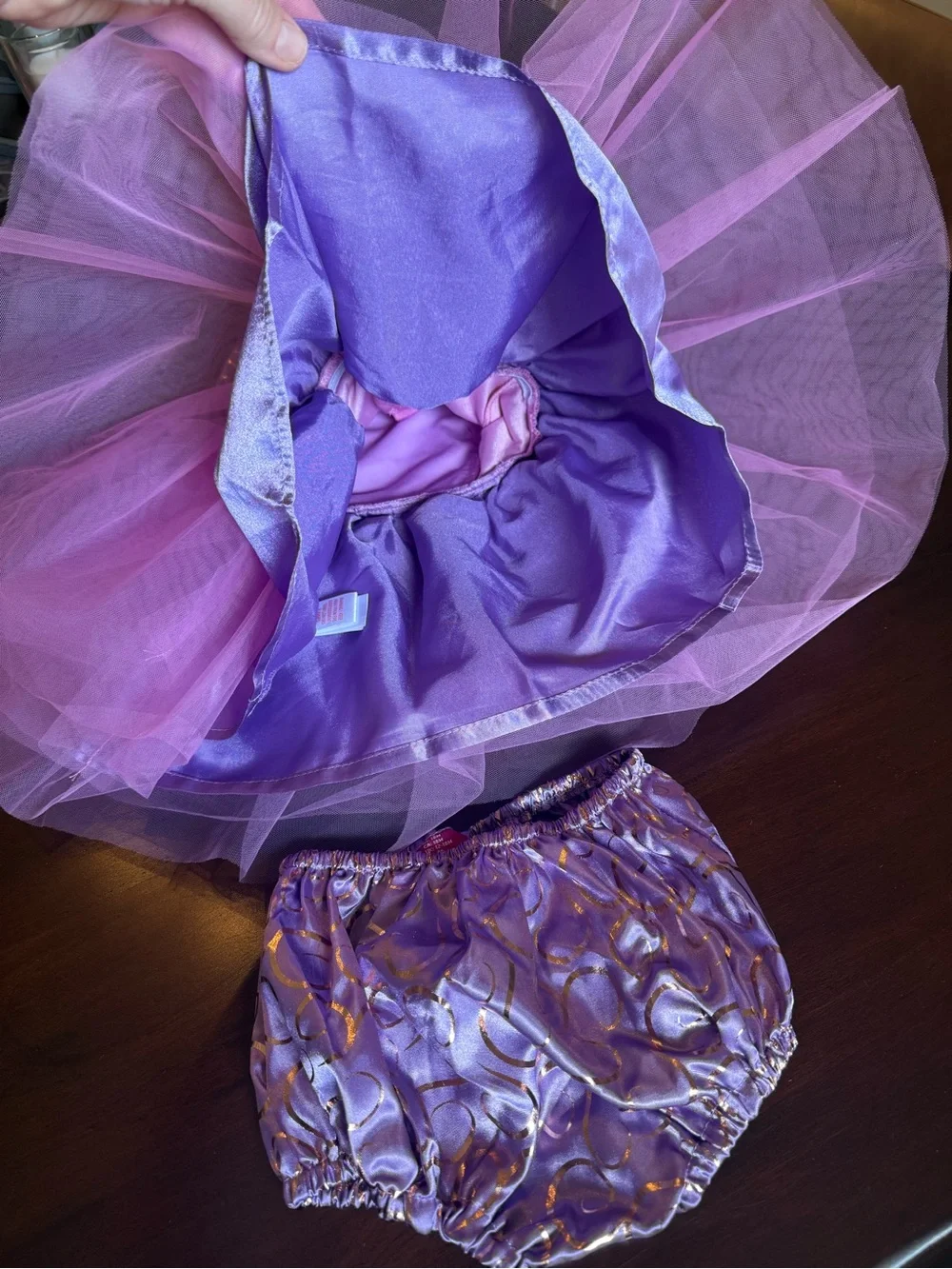 Disney Pink and Lavender Tulle Princess Dress Costume